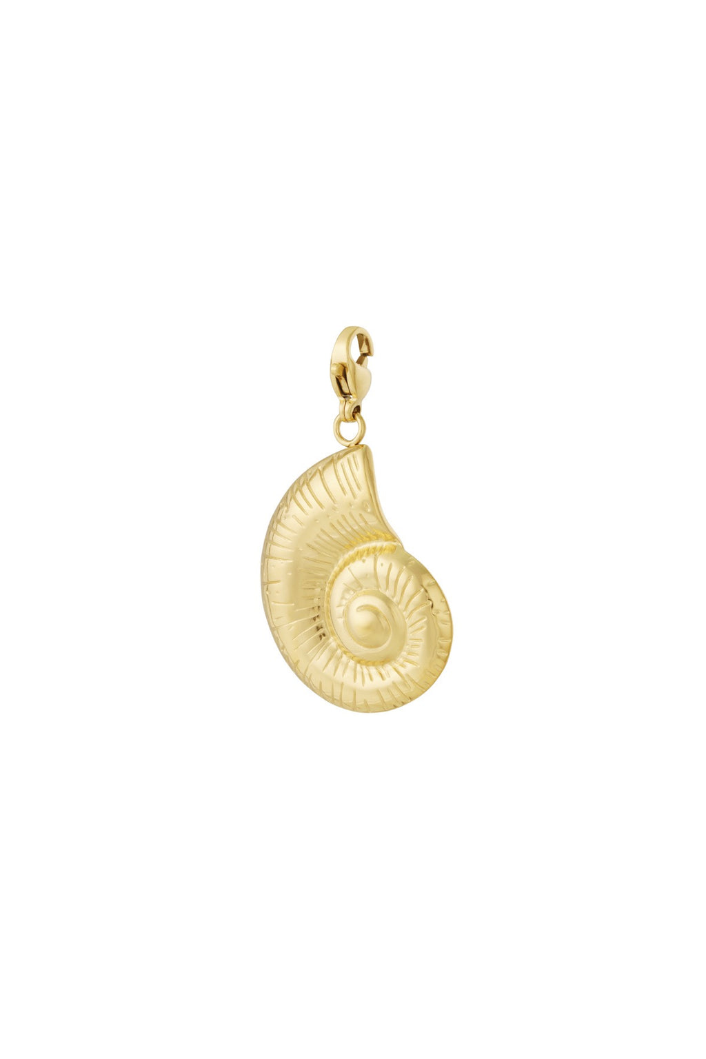 Schelpen bedel goud