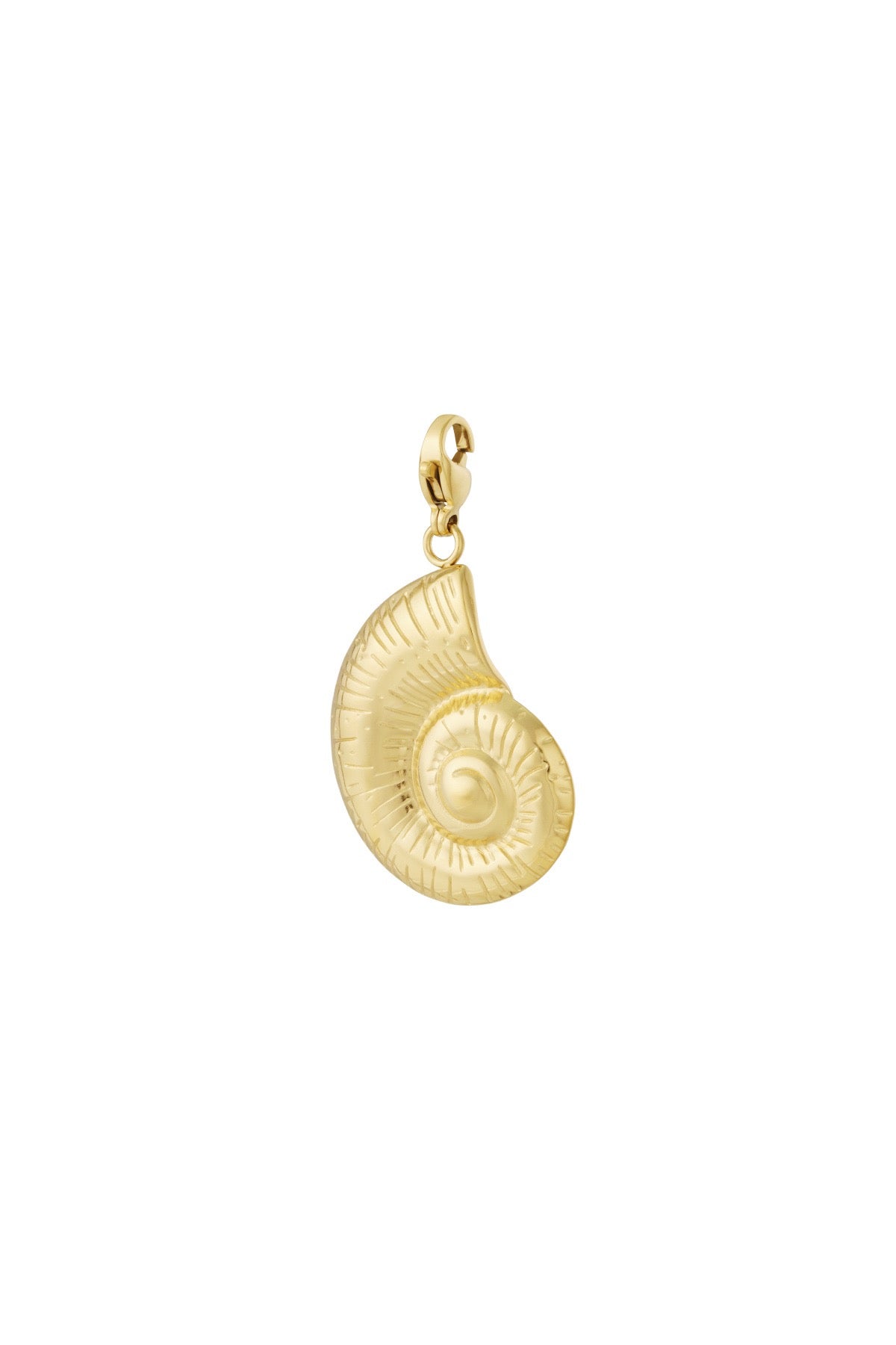 Schelpen bedel goud