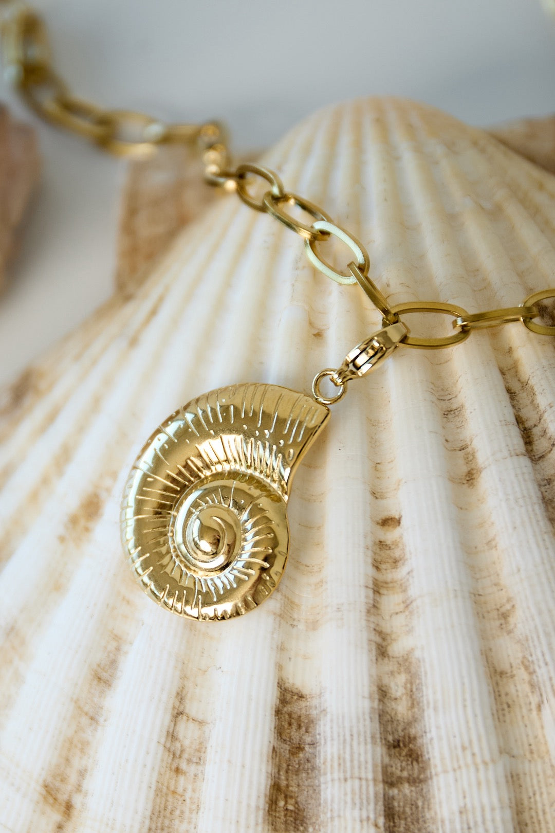 Schelpen bedel goud