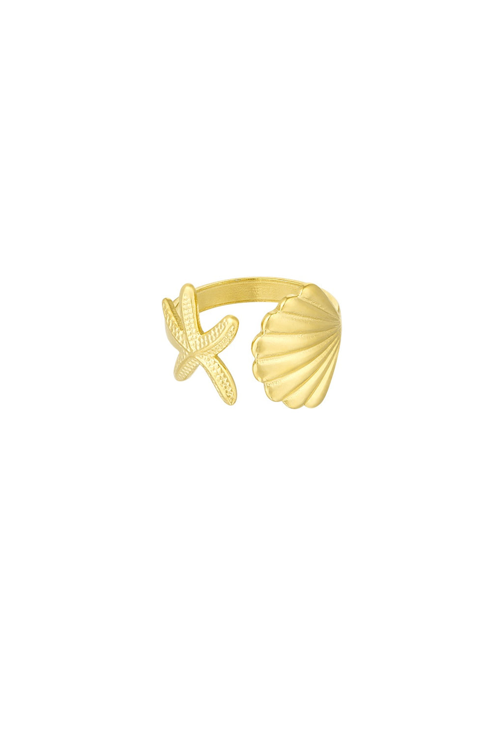 Sea shell ring